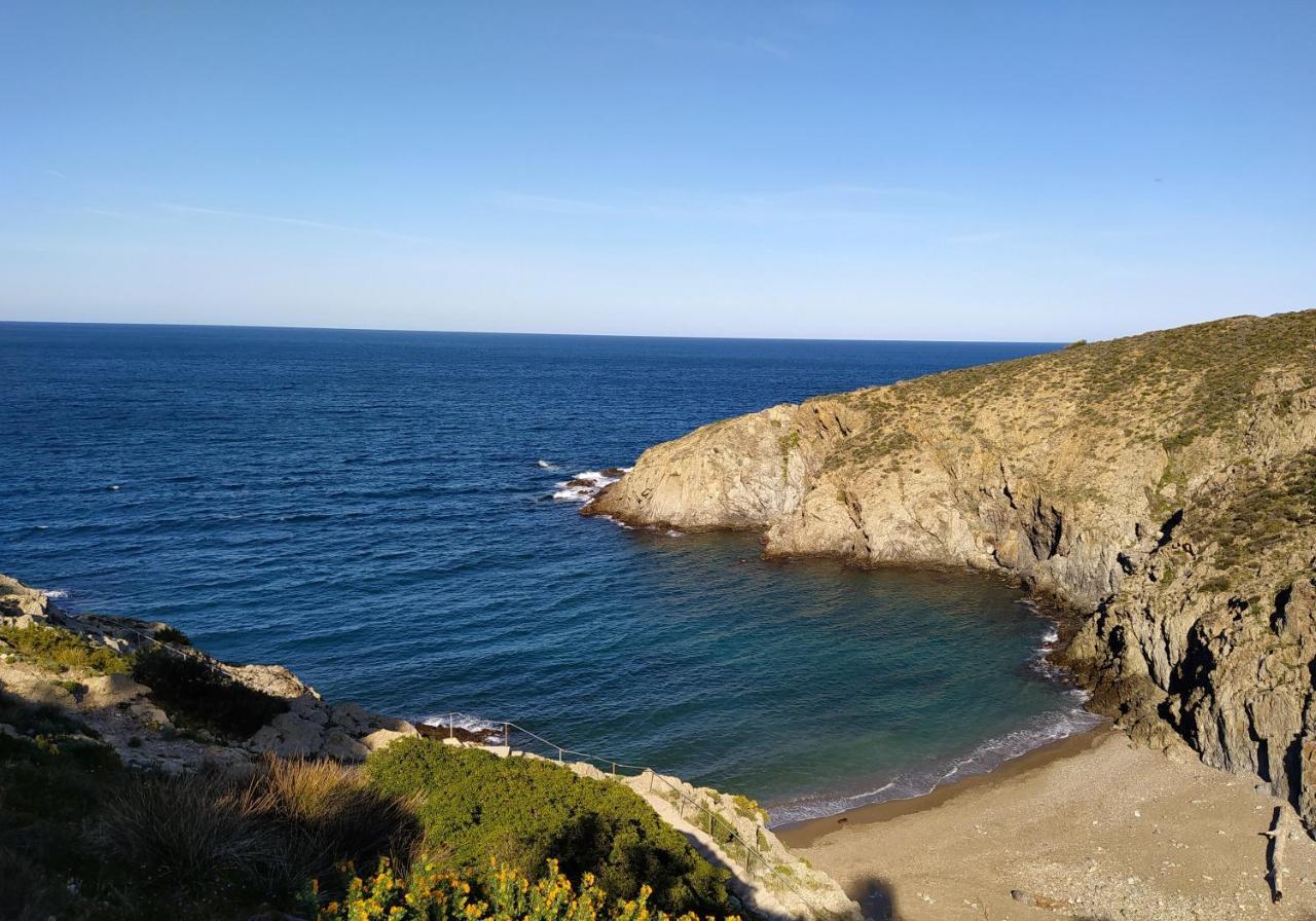 T 2 Tout Confort Avec Terrasse Vue Mer Et Montagne. Banyuls-sur-Mer Dış mekan fotoğraf